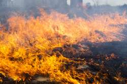 До п'ятниці у Києві збережеться надзвичайна пожежна небезпека