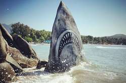 Художник превратил камень на пляже в большую белую акулу