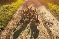 В гостях у бабушки: 10 фотографий, которые вернут вас в детство