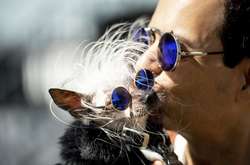 В США выбрали самую уродливую собаку в мире