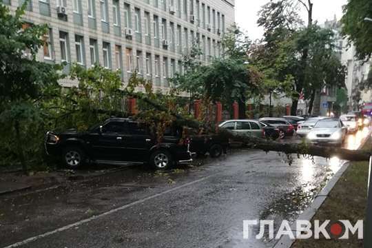 Негода у Києві: у центрі міста на автомобілі впало дерево (оновлено)