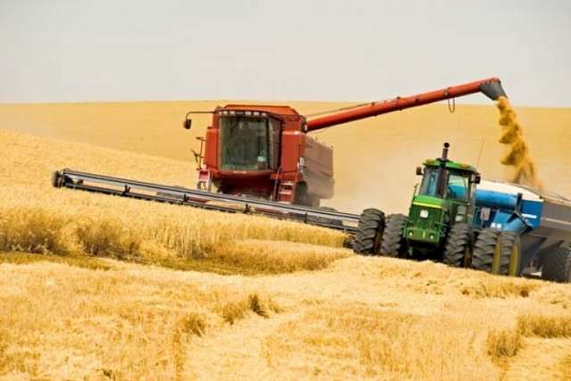 Українські аграрії вже назбирали 2,7 млн тонн зерна 