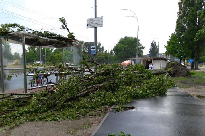 Зламані дерева і забиті стоки: комунальники показали наслідки негоди в Києві (фото)
