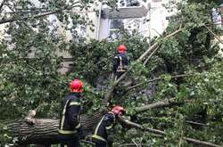 Из-за непогоды на Киевщине погиб человек