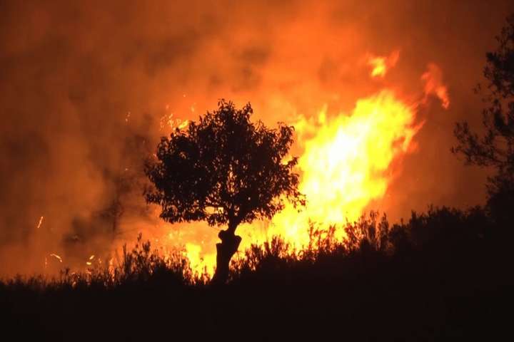 У Каталонії вирують масштабні лісові пожежі