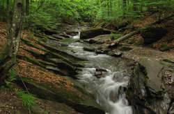 Синоптики пообіцяли українцям комфортну погоду на вихідних