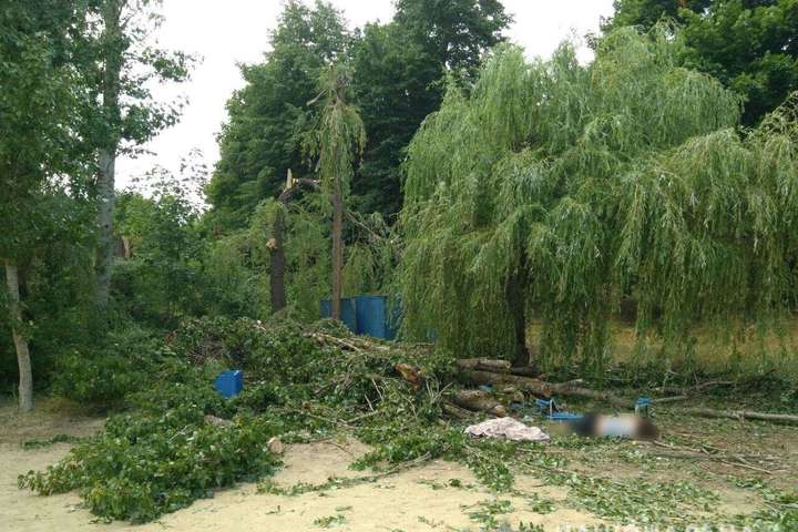 У Харківській області через негоду впало дерево: загинула жінка