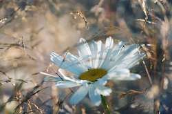 Погода на неділю: дощі пройдуть лише на сході України, температура до +30