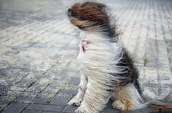 В Україні оголошено штормове попередження