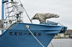 Япония возобновила охоту на китов