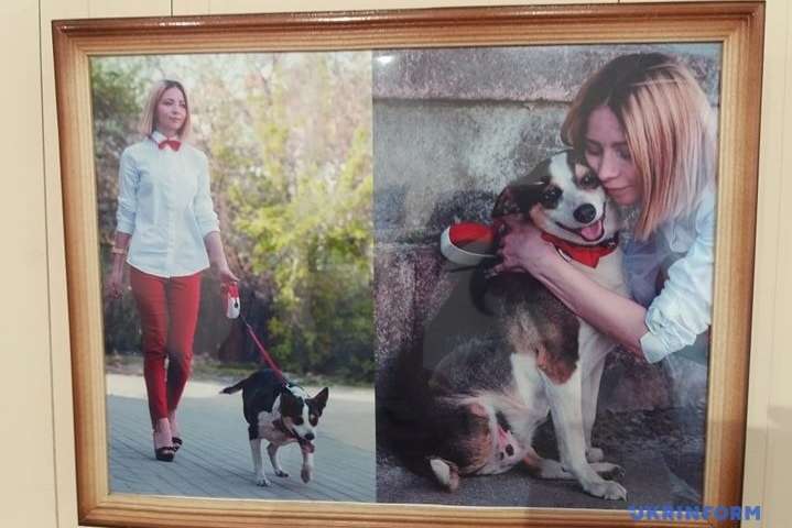 В Житомире открылась фотовыставка о животных с инвалидностью