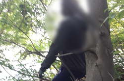 На березі річки в Києві повісився чоловік (фото)