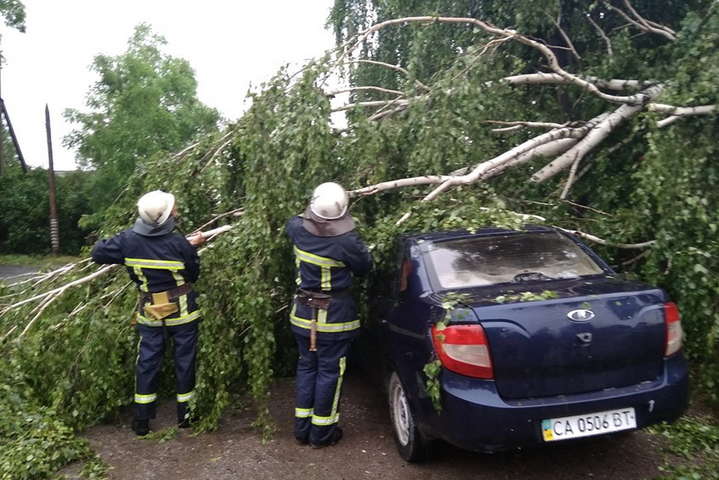 Наслідки сильної грози на Вінниччині: вітер повалив дерева і паркани, град побив урожай