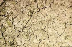 У Литві оголосили надзвичайний стан через посуху