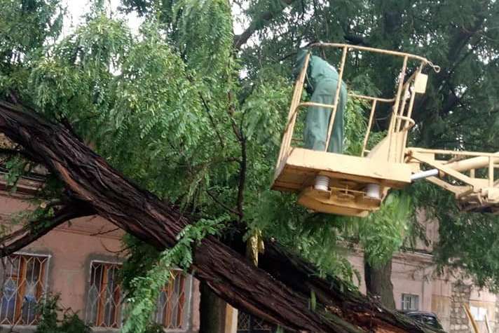Ураган в Одесі: дерева на будинках і люди, які дивом врятувалися