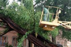 Ураган в Одесі: дерева на будинках і люди, які дивом врятувалися