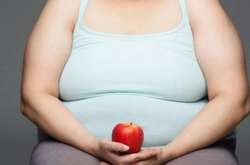 Ученые считают, что к ожирению ведет не еда, а работа иммунных клеток