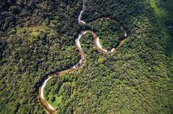 «Легкие планеты» - под угрозой. Как президент Бразилии хочет уничтожить леса Амазонии