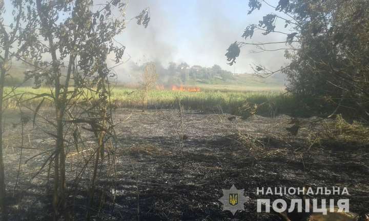 На Харківщині в очереті знайшли обгоріле тіло чоловіка
