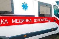 На Львівщині жінка та дитина від укусів змій опинились у реанімації