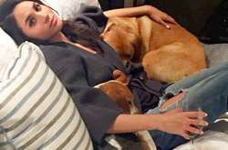 Меган Маркл возьмет еще одну собаку из приюта для сына Арчи