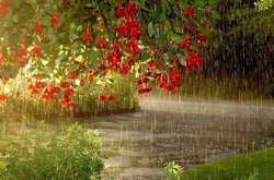 Синоптики попередили: похолодання протримається до кінця тижня 