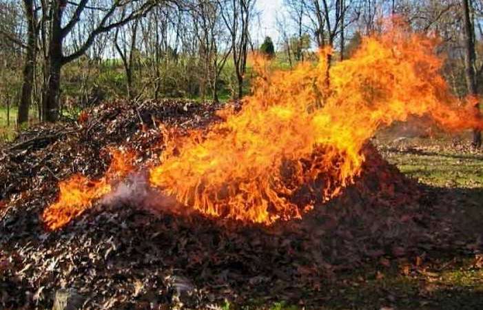 У Супрун пропонують заборонити вигрібні ями, спалювання листя і посипання доріг сіллю