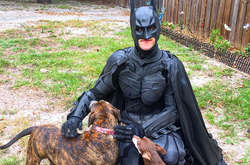 Настоящий Бэтмен спасает десятки собак из приютов от эвтаназии