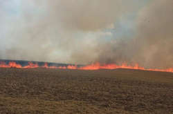 Трохи менше години знадобилося рятувальникам, аби локалізувати, а згодом і погасити вогонь