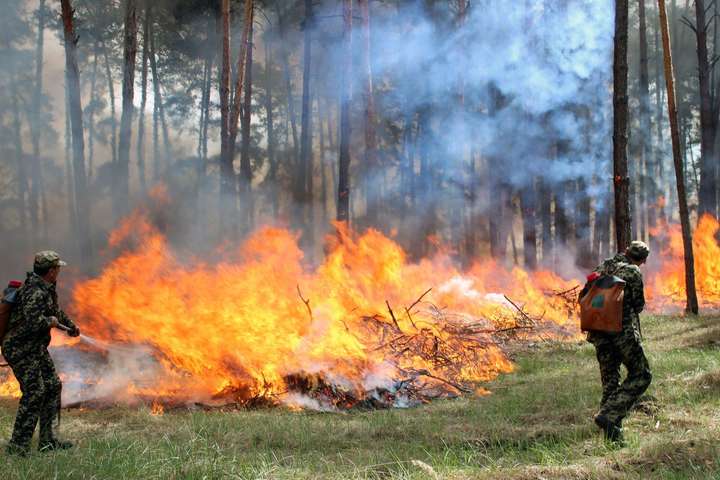 Рятувальники оголосили надзвичайну пожежну небезпеку в Україні