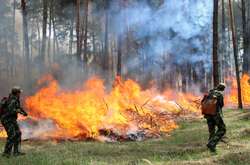 Рятувальники оголосили надзвичайну пожежну небезпеку в Україні