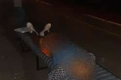 На Київщині безхатченки влаштували різанину: є жертва