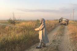 В Луганской области - нашествие саранчи (фото, видео)