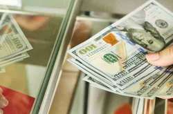 Нацбанк встановив курс валют на 16 липня