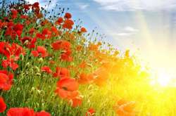 Спека повертається, але не надовго 