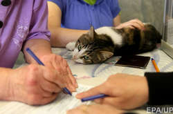 Виборцю зобов’язані дати бюлетень, навіть якщо в списках існують неточності про його адресу