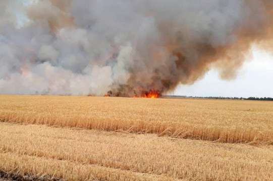 На Харківщині згоріло поле з зерном 