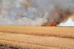 На Харківщині згоріло поле з зерном 