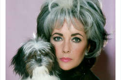 Любовь человека и питомца делает их невероятно похожими между собой: фото