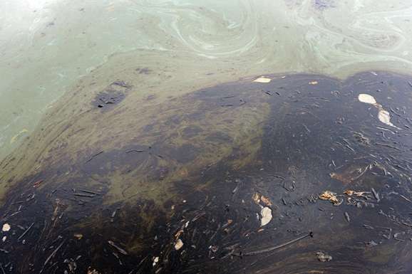 Біля берегів Канади розлилася нафта