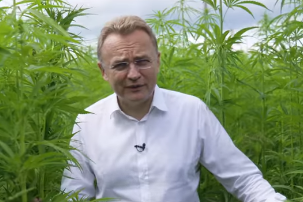Мэр Львова поддержал производителей конопли (видео)