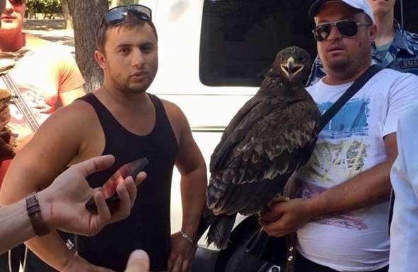 В окупованому Криму побили туристів через відмову платити за фото з орлом (відео)