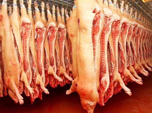 Через африканську чуму Молдова призупинила ввезення свинини з України