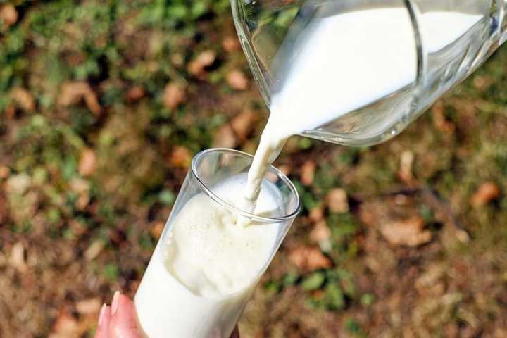 З початку року в Україні зафіксовано скорочення виробництва молока