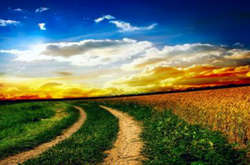 На вихідних в Україні суттєво потепліє (карта)