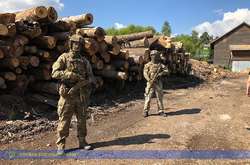 В СБУ підрахували, що ділки заробили на деревині мінімум 300 тис. грн