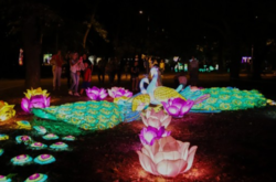 В Одесі планують встановити Національний рекорд України