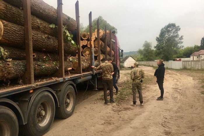 Після візиту Зеленського на Харківщину СБУ блокувала масштабні розкрадання лісу