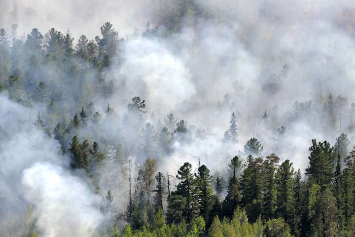 «Дешевше не гасити»: у Росії палає 3 млн гектарів лісів 