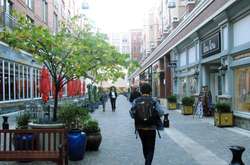 Як я побувала на зборах мешканців будинку в США і дізналась, хто фотографує сміття в Америці